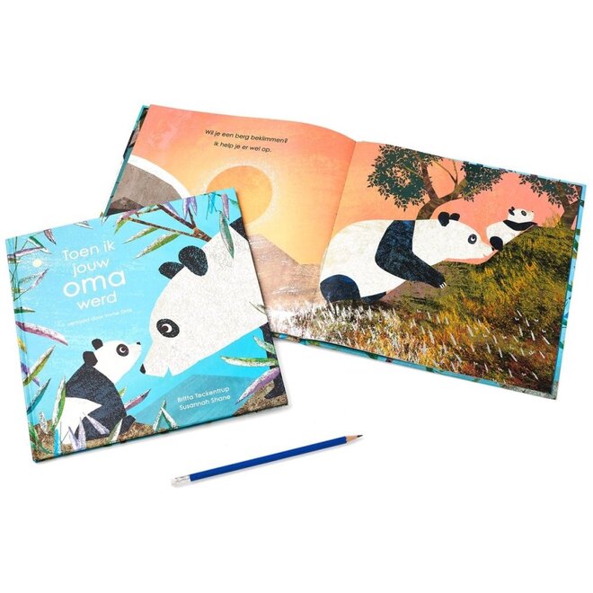 Toen ik jouw oma werd | Britta Teckentrup