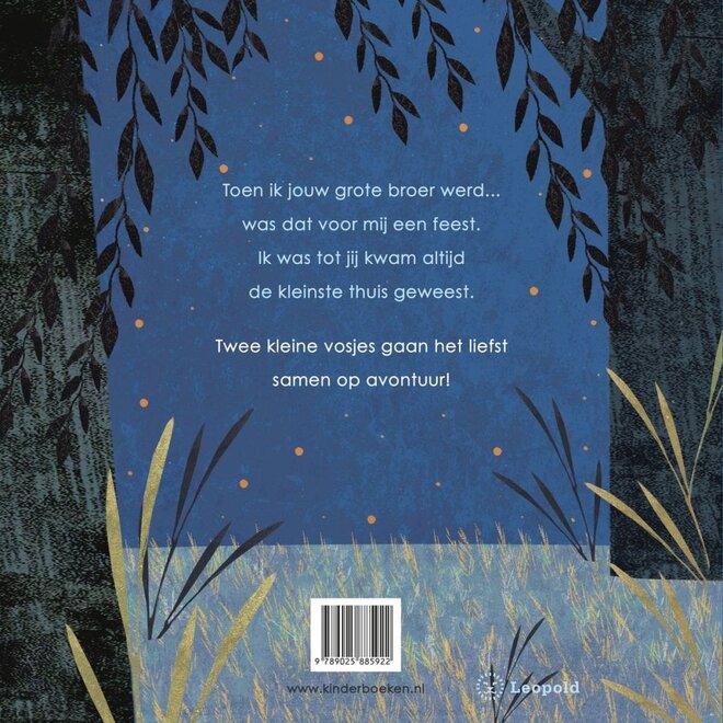 Toen ik jouw grote broer werd | Britta Teckentrup