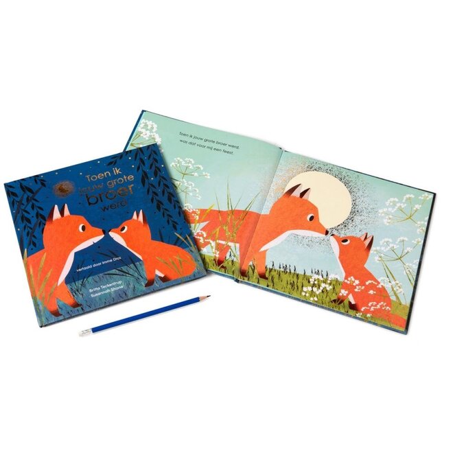 Toen ik jouw grote broer werd | Britta Teckentrup