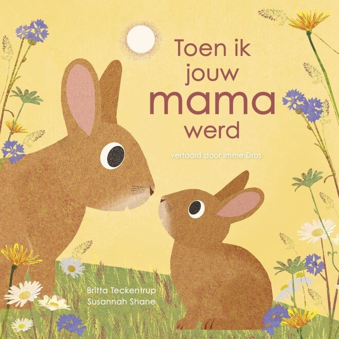 Toen ik jouw mama werd | Britta Teckentrup