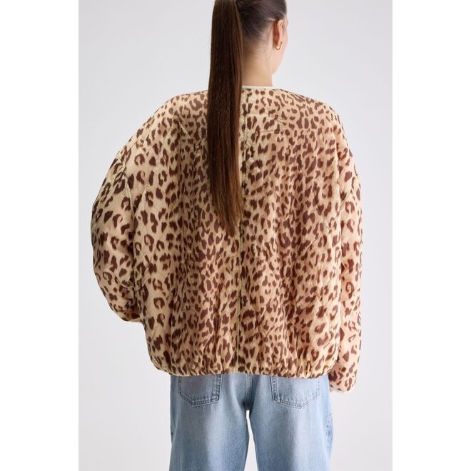 Bellerose | Highland Jas Combo A