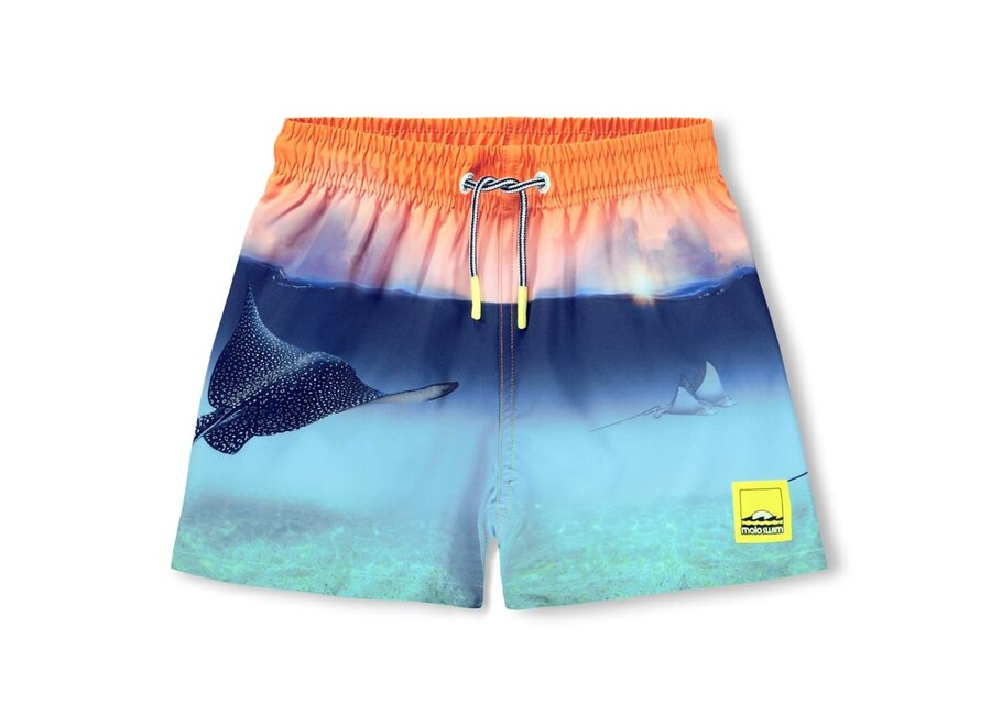 Niko Zwembroek Into The Sunset