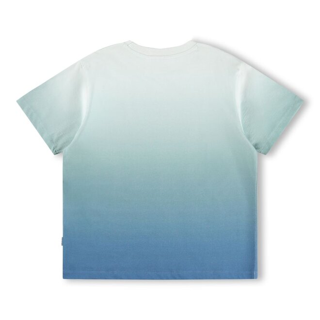 Molo | Rodney T-shirt Wave Crest Fade