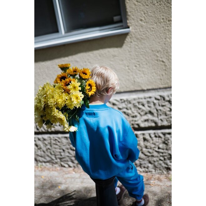 Repose ams | Crewneck Sweater Azure Wave