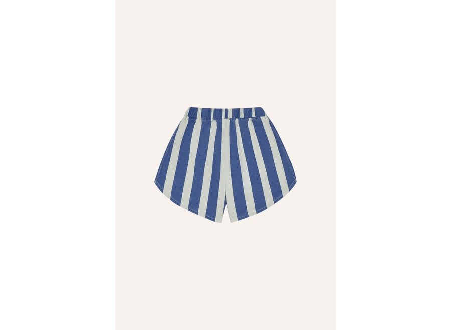 The Campamento | Blue Stripes Washed Shorts Blue