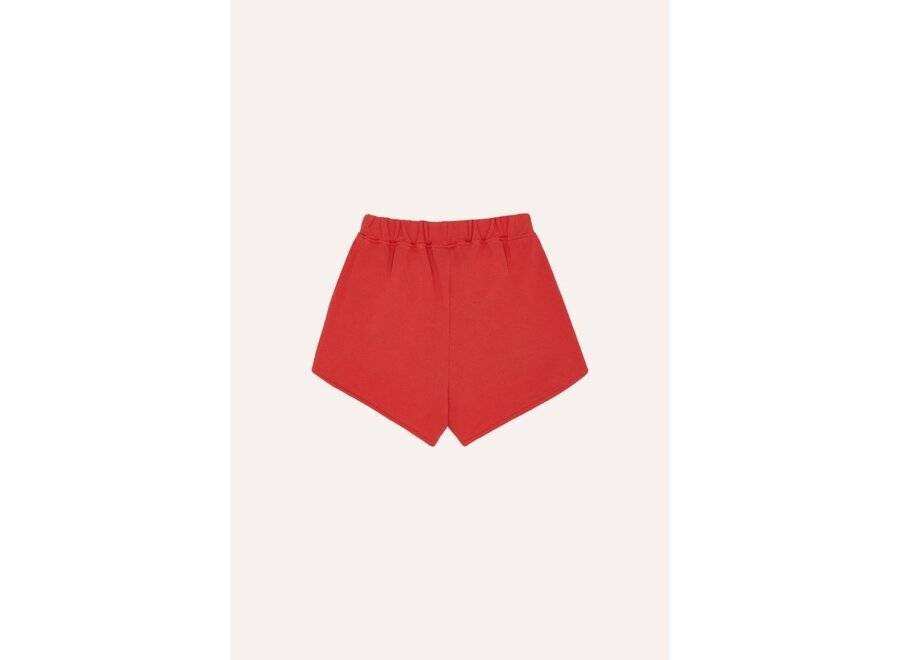The Campamento | Reading Lion Shorts Red