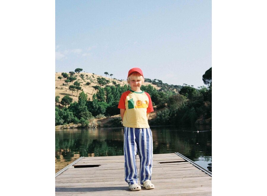 The Campamento | Blue Stripes Washed Trousers Blue