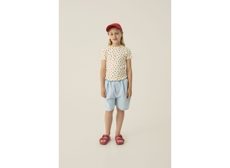 The Campamento | Light Blue Denim Shorts Light Blue