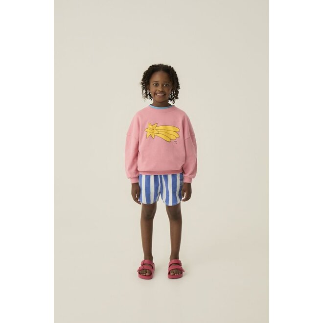 The Campamento | Blue Stripes Washed Shorts Blue