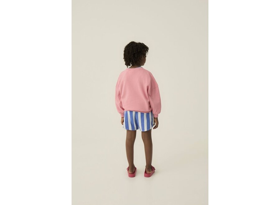 The Campamento | Blue Stripes Washed Shorts Blue