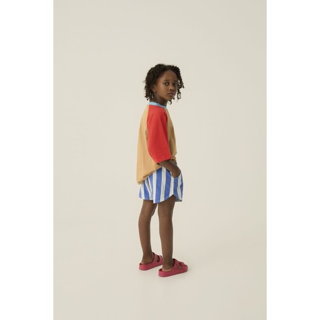 The Campamento | Blue Stripes Washed Shorts Blue