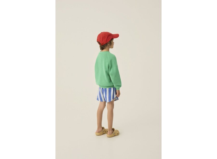 The Campamento | Blue Stripes Washed Shorts Blue