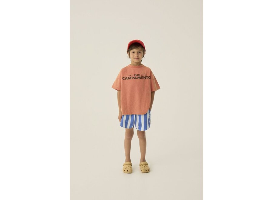 The Campamento | Blue Stripes Washed Shorts Blue