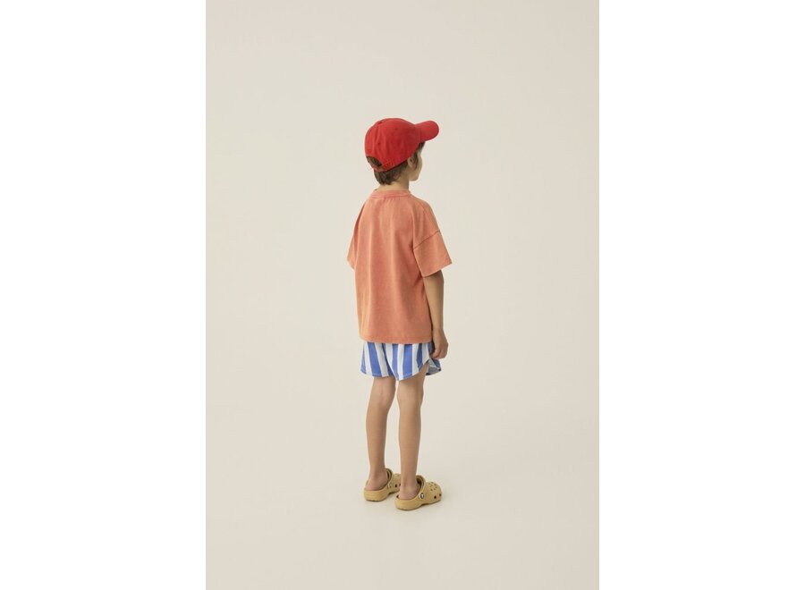 The Campamento | Blue Stripes Washed Shorts Blue