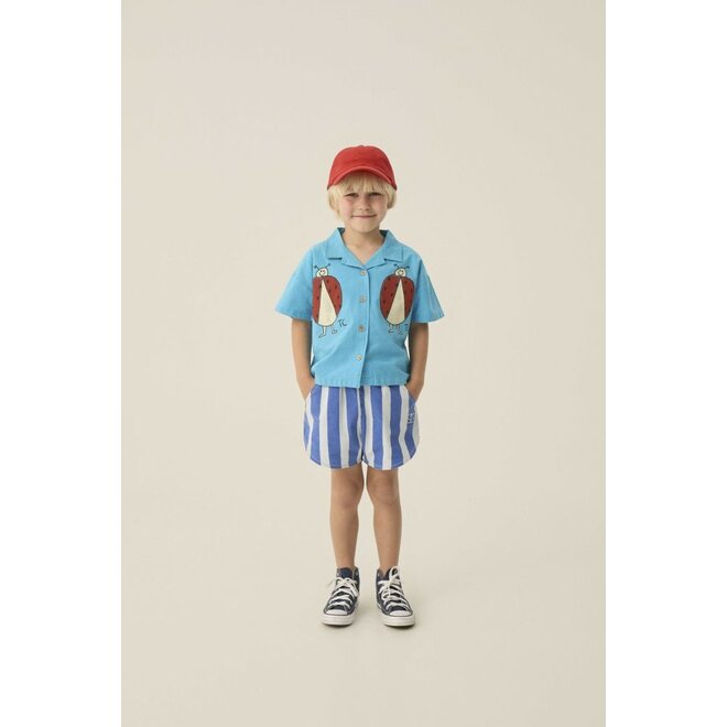 The Campamento | Blue Stripes Washed Shorts Blue