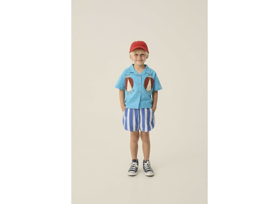 The Campamento | Blue Stripes Washed Shorts Blue