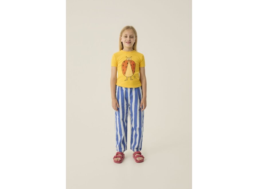 The Campamento | Blue Stripes Washed Trousers Blue