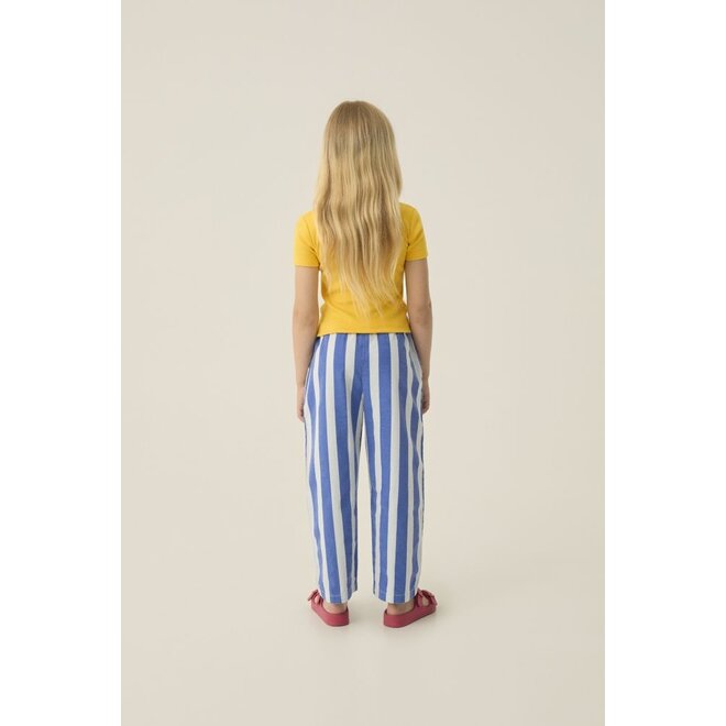 The Campamento | Blue Stripes Washed Trousers Blue