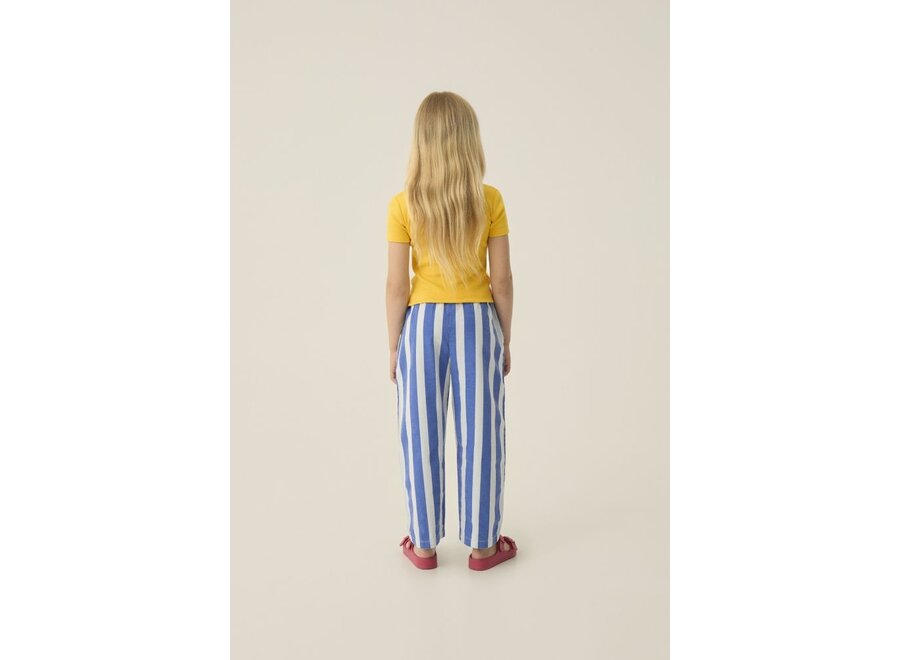 The Campamento | Blue Stripes Washed Trousers Blue