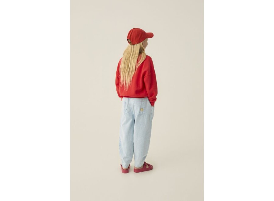 The Campamento | Reading Lion Sweatshirt Red