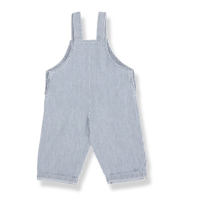 1+ in the family | Mao Long Dungaree Denim