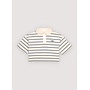 The New Society | Acacia Teen Polo Ecru Stripes