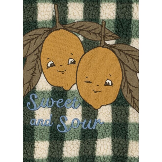 Konges Sløjd | Jody Teddy Jacket Grs Green Check