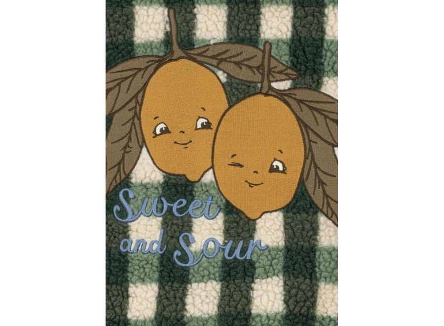 Konges Sløjd | Jody Teddy Jacket Grs Green Check