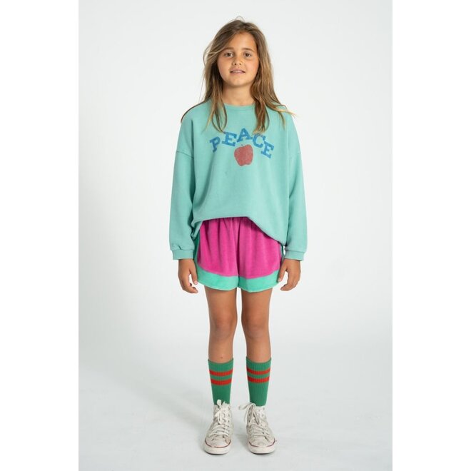 Piupiuchick | Sweatshirt Turquoise With "Peace" Print