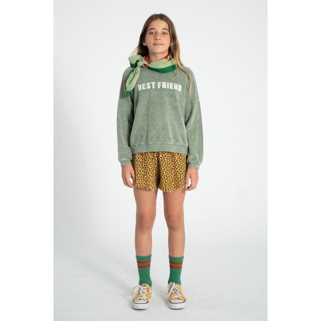 Piupiuchick | Sweatshirt Washed Green With "Best Friend" Print
