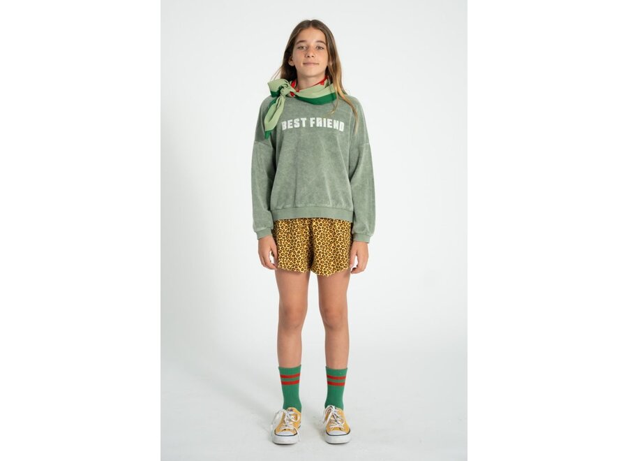 Piupiuchick | Sweatshirt Washed Green With "Best Friend" Print
