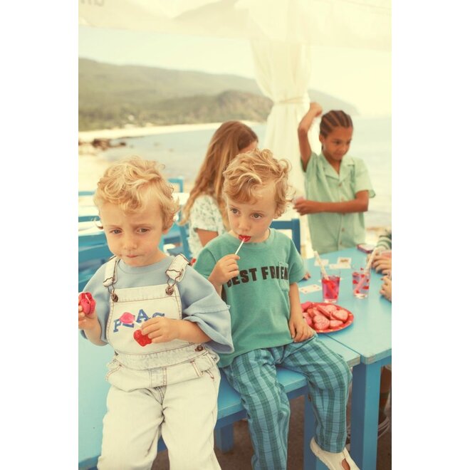 Piupiuchick |Baby  T'Shirt Turquoise With "Best Friend" Print