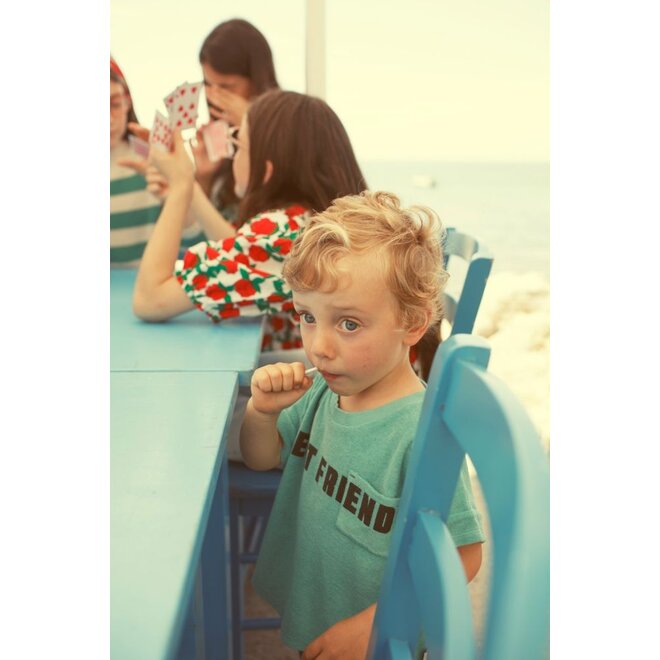 Piupiuchick |Baby  T'Shirt Turquoise With "Best Friend" Print