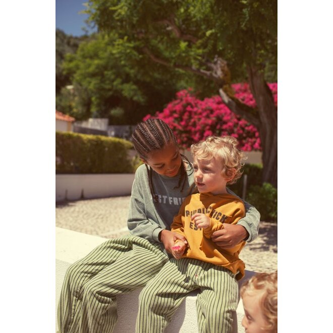 Piupiuchick | Unisex Trousers Green With Indigo Stripes