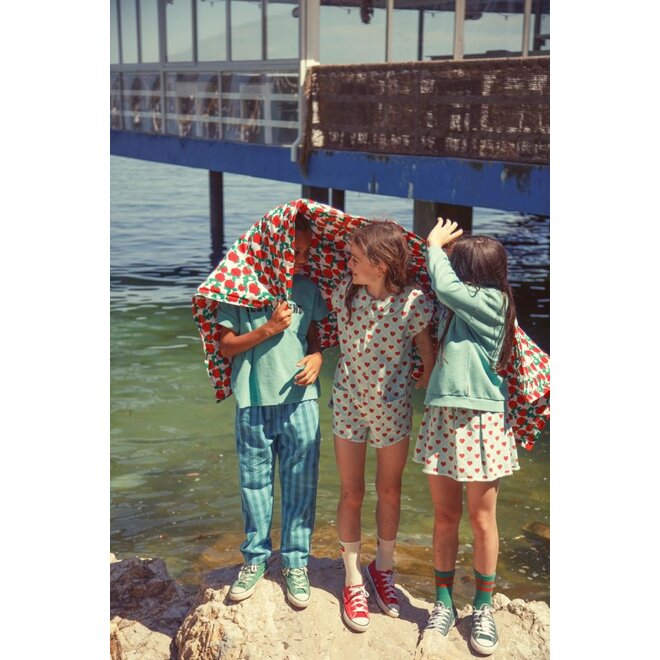 Piupiuchick | Unisex Trousers Blue/Green Checkered