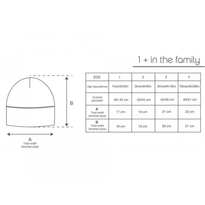1+ in the family | Kai Beanie Misty-Blue