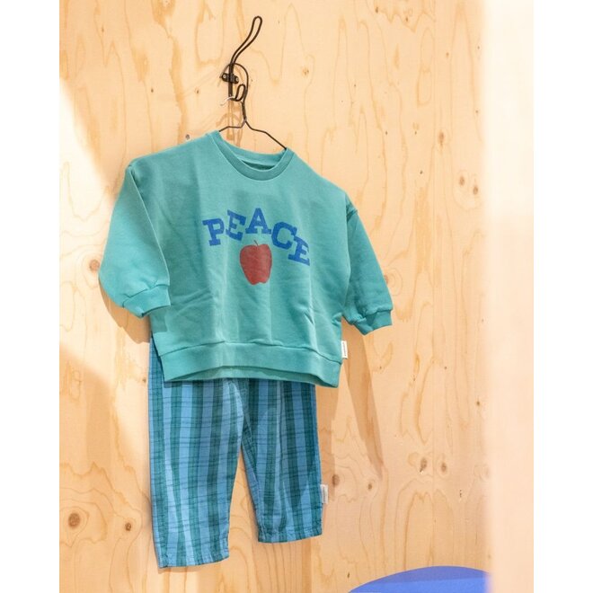 Piupiuchick | Unisex Baby Trousers Blue/Green Checkered