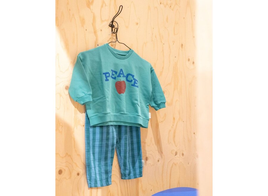 Piupiuchick | Unisex Baby Trousers Blue/Green Checkered