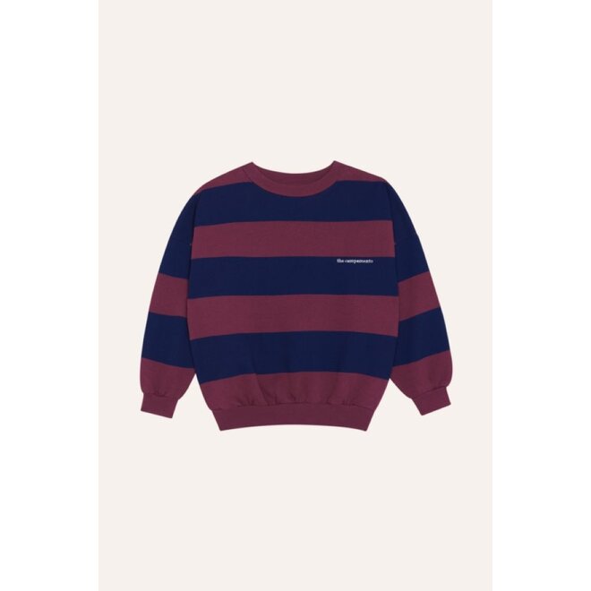 Blue Stripes Sweatshirt