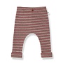 1+ in the family | Devon Legging Fiamma