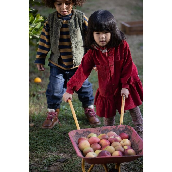1+ in the family | Devon Legging Fiamma
