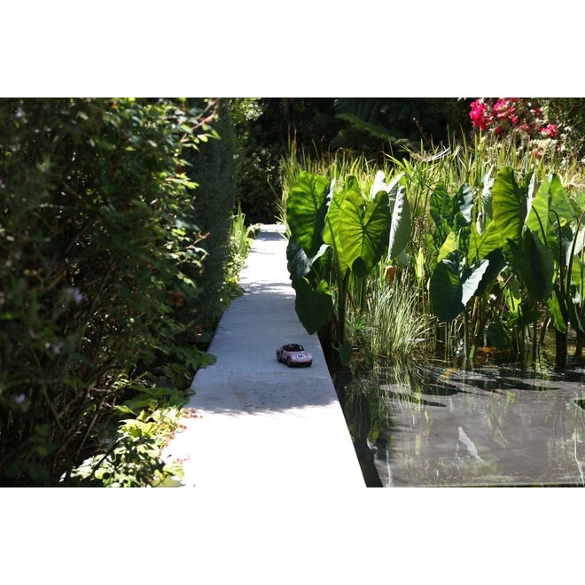 Playforever | Luft Pop