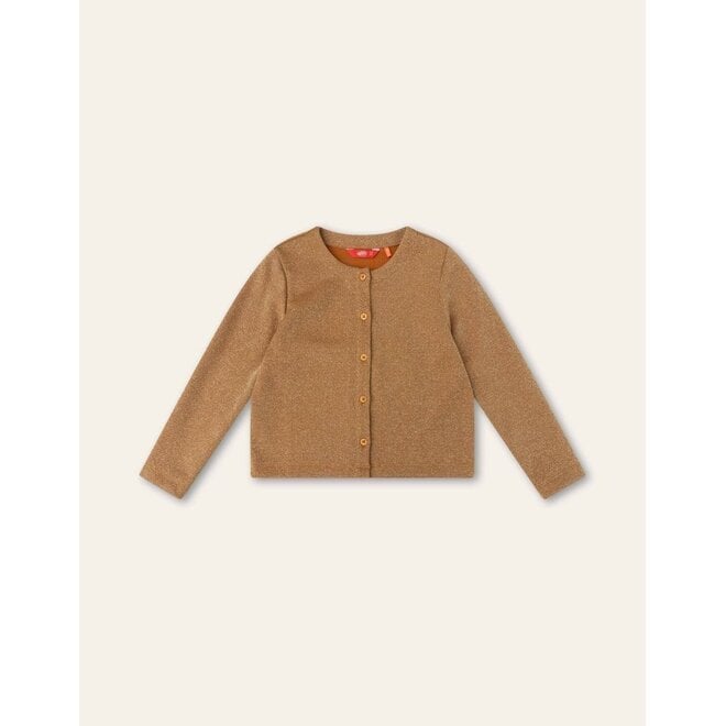 Vibrant Cardigan Glitter Pumpkin Spice