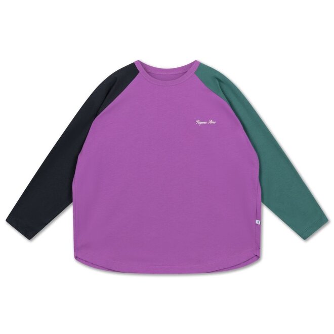 Raglan Long Sleeve Color Block