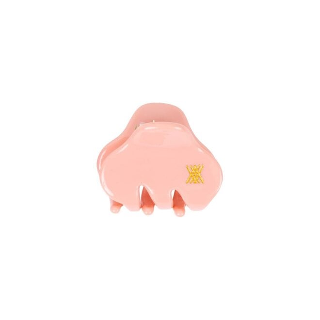 Hair Clamp Small Cheeky Flamingo