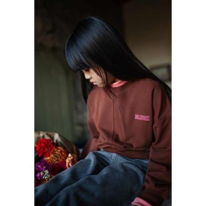 Petit Blush | Luca Sweater Brown