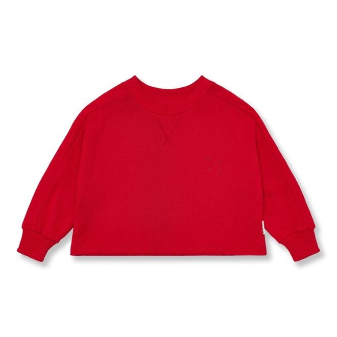 Petit Blush | Coco Sweater Salsa