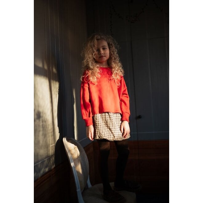 Petit Blush | Cargo Ballon Skirt Check Beige/Blue