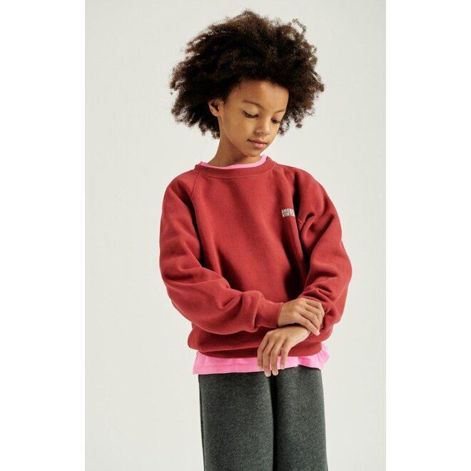 Izubird Kids Sweater Burgundy Vintage