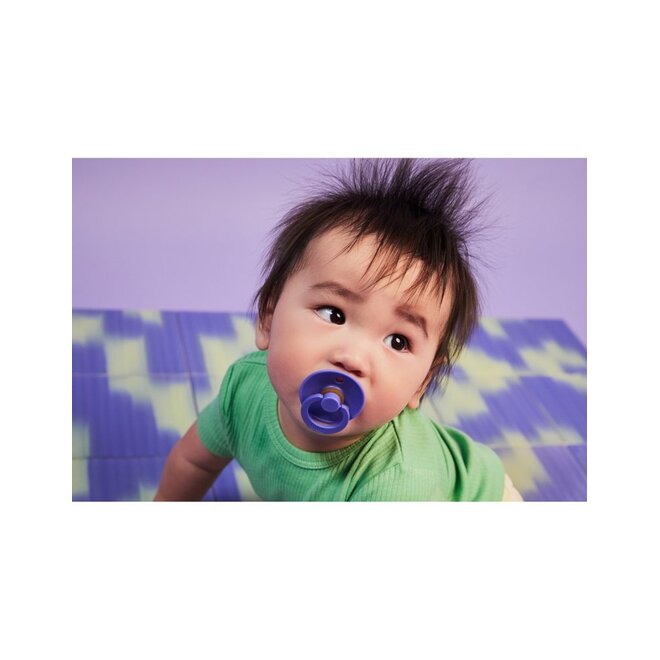 BIBS | Colour Single Speen Grape Size 2
